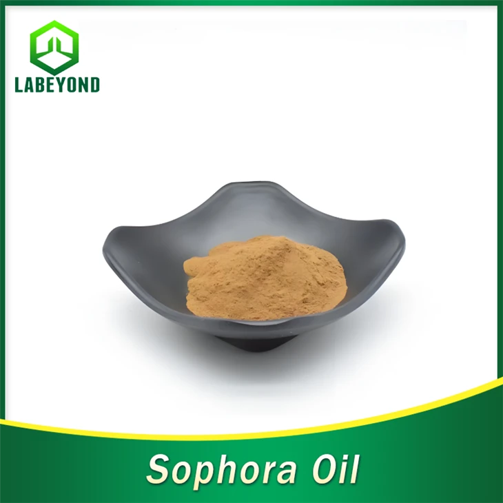 תמצית צמחים טבעית יצרני שמן Sophora